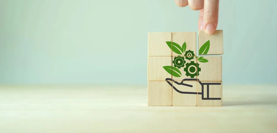 YES-TR Raporlama ve Projelendirme