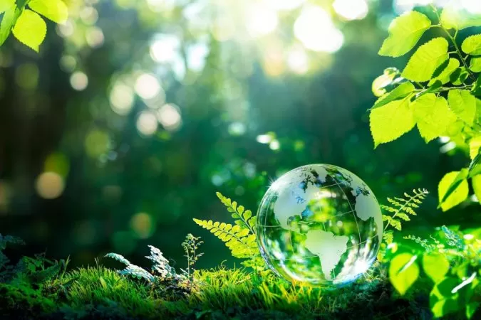 Geçiş Planları Kılavuzunda Yeni Düzenlemeler: TPT ve TNFD'nin Önerdiği Bildirim Unsurlarının Önemi